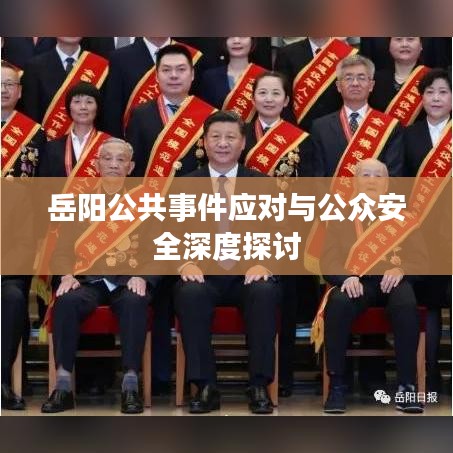 岳陽公共事件應(yīng)對與公眾安全深度探討
