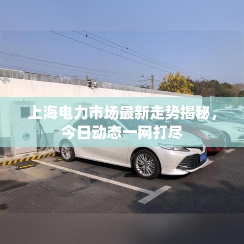 上海電力市場最新走勢揭秘，今日動態(tài)一網打盡