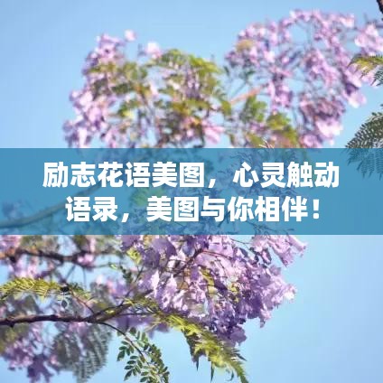 勵志花語美圖，心靈觸動語錄，美圖與你相伴！