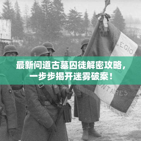 最新問道古墓囚徒解密攻略，一步步揭開迷霧破案！