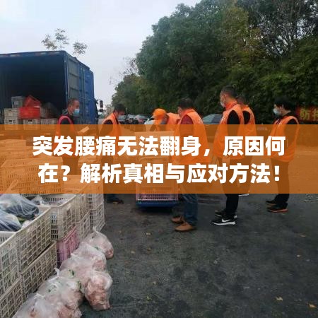 突發(fā)腰痛無法翻身，原因何在？解析真相與應(yīng)對方法！