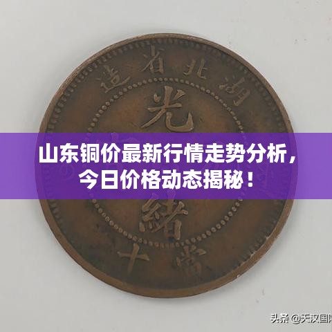 山東銅價(jià)最新行情走勢分析，今日價(jià)格動態(tài)揭秘！