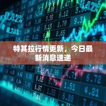 特其拉行情更新，今日最新消息速遞