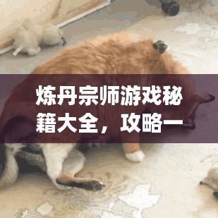 煉丹宗師游戲秘籍大全，攻略一網(wǎng)打盡！