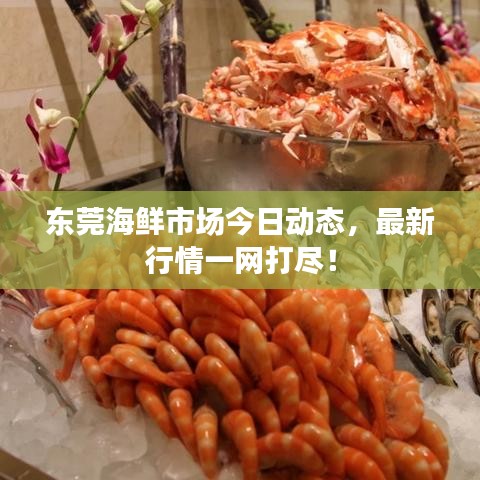 東莞海鮮市場今日動態(tài)，最新行情一網(wǎng)打盡！