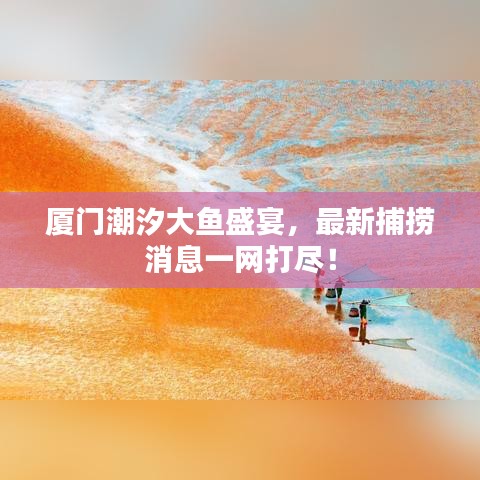 廈門潮汐大魚盛宴，最新捕撈消息一網(wǎng)打盡！