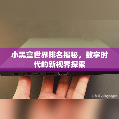 小黑盒世界排名揭秘，數(shù)字時(shí)代的新視界探索