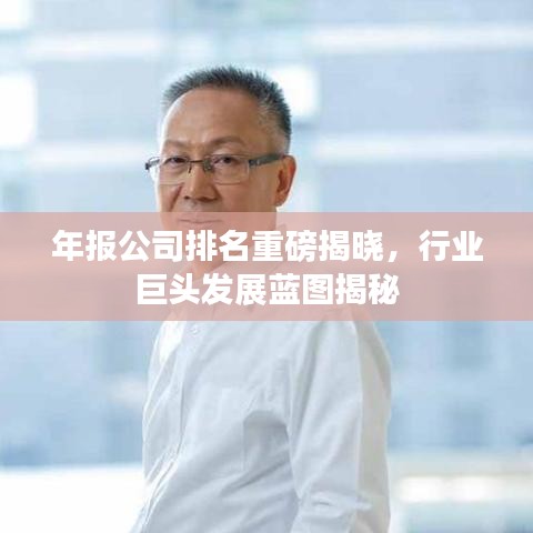 年報公司排名重磅揭曉，行業(yè)巨頭發(fā)展藍圖揭秘