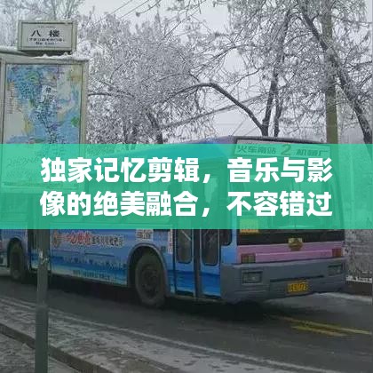 獨家記憶剪輯，音樂與影像的絕美融合，不容錯過！