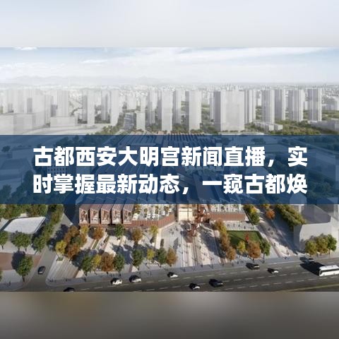 古都西安大明宮新聞直播，實(shí)時(shí)掌握最新動(dòng)態(tài)，一窺古都煥新貌風(fēng)采