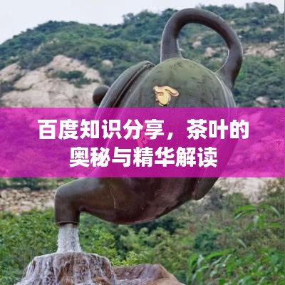 百度知識分享，茶葉的奧秘與精華解讀