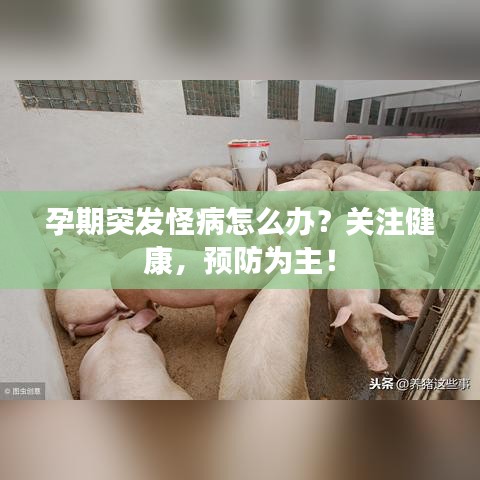 孕期突發(fā)怪病怎么辦？關(guān)注健康，預(yù)防為主！