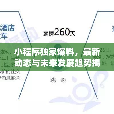 小程序獨家爆料，最新動態(tài)與未來發(fā)展趨勢揭秘