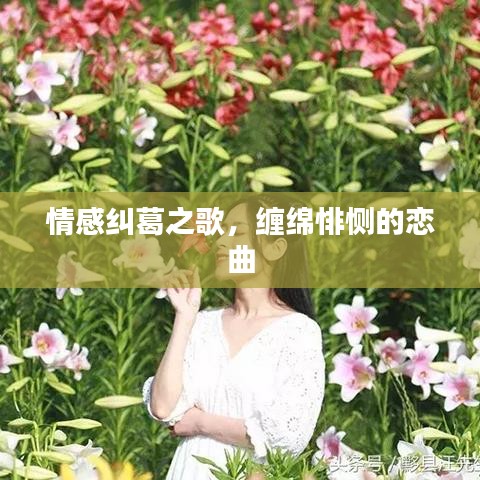 情感糾葛之歌，纏綿悱惻的戀曲