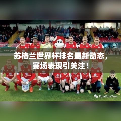 蘇格蘭世界杯排名最新動態(tài)，賽場表現(xiàn)引關(guān)注！