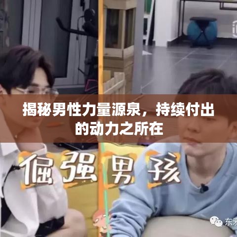 揭秘男性力量源泉，持續(xù)付出的動(dòng)力之所在