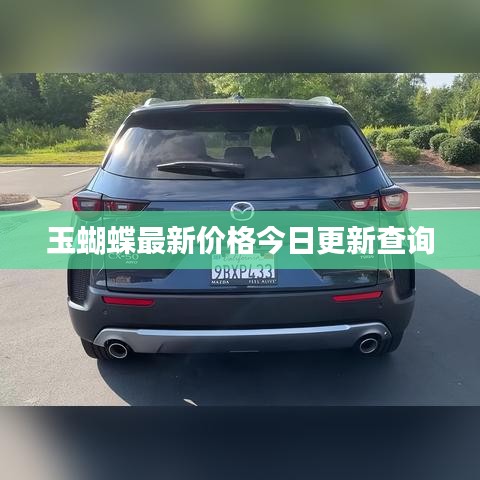 玉蝴蝶最新價格今日更新查詢