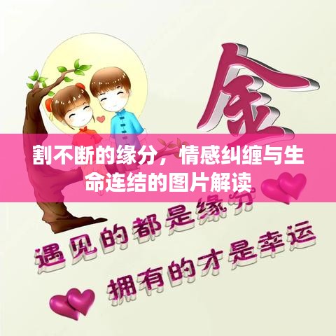 割不斷的緣分，情感糾纏與生命連結(jié)的圖片解讀