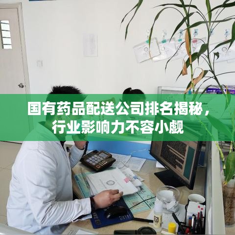 國有藥品配送公司排名揭秘，行業(yè)影響力不容小覷