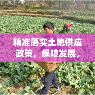 精準(zhǔn)落實土地供應(yīng)政策，保障發(fā)展，守護耕地安全
