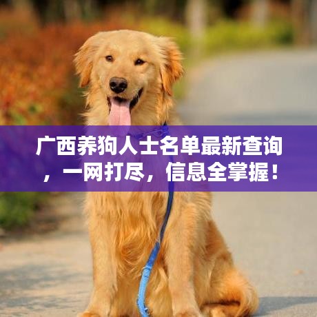 廣西養(yǎng)狗人士名單最新查詢，一網(wǎng)打盡，信息全掌握！