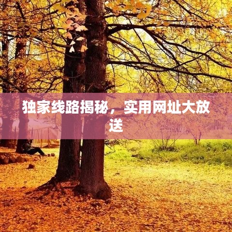 獨(dú)家線路揭秘，實用網(wǎng)址大放送