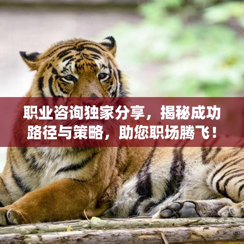 職業(yè)咨詢獨家分享，揭秘成功路徑與策略，助您職場騰飛！