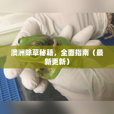 澳洲除草秘籍，全面指南（最新更新）