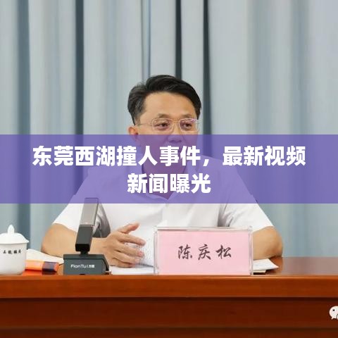 東莞西湖撞人事件，最新視頻新聞曝光