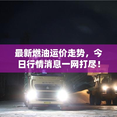 最新燃油運價走勢，今日行情消息一網(wǎng)打盡！
