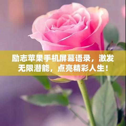 勵志蘋果手機屏幕語錄，激發(fā)無限潛能，點亮精彩人生！