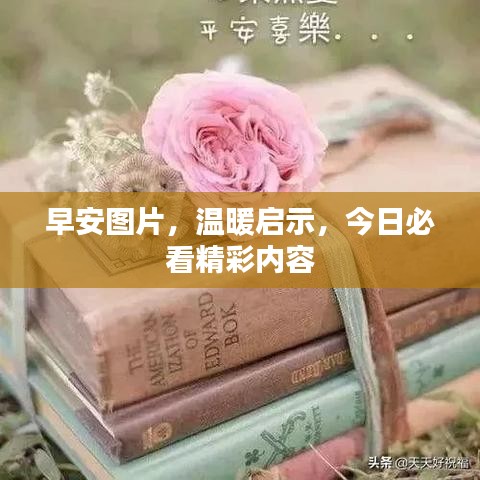 早安圖片，溫暖啟示，今日必看精彩內(nèi)容